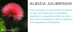 Mimosa Extract Albizia Julibrissin Skincare FutureDerm