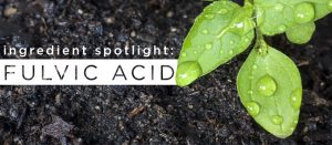 ingredient-spotlight fulvic acid
